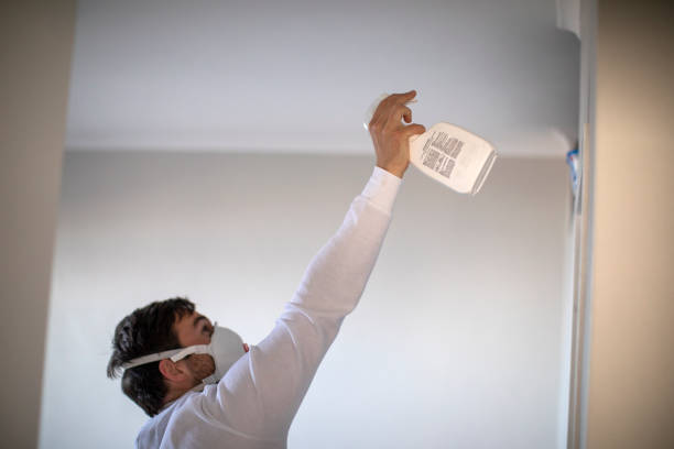 Best Kitchen Mold Remediation in East Milton, FL