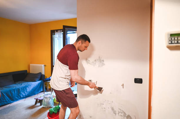 Professional Mold Remediation in East Milton, FL